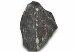 L Chondrite Meteorite ( g) - Hammadah al Hamra #302194-2